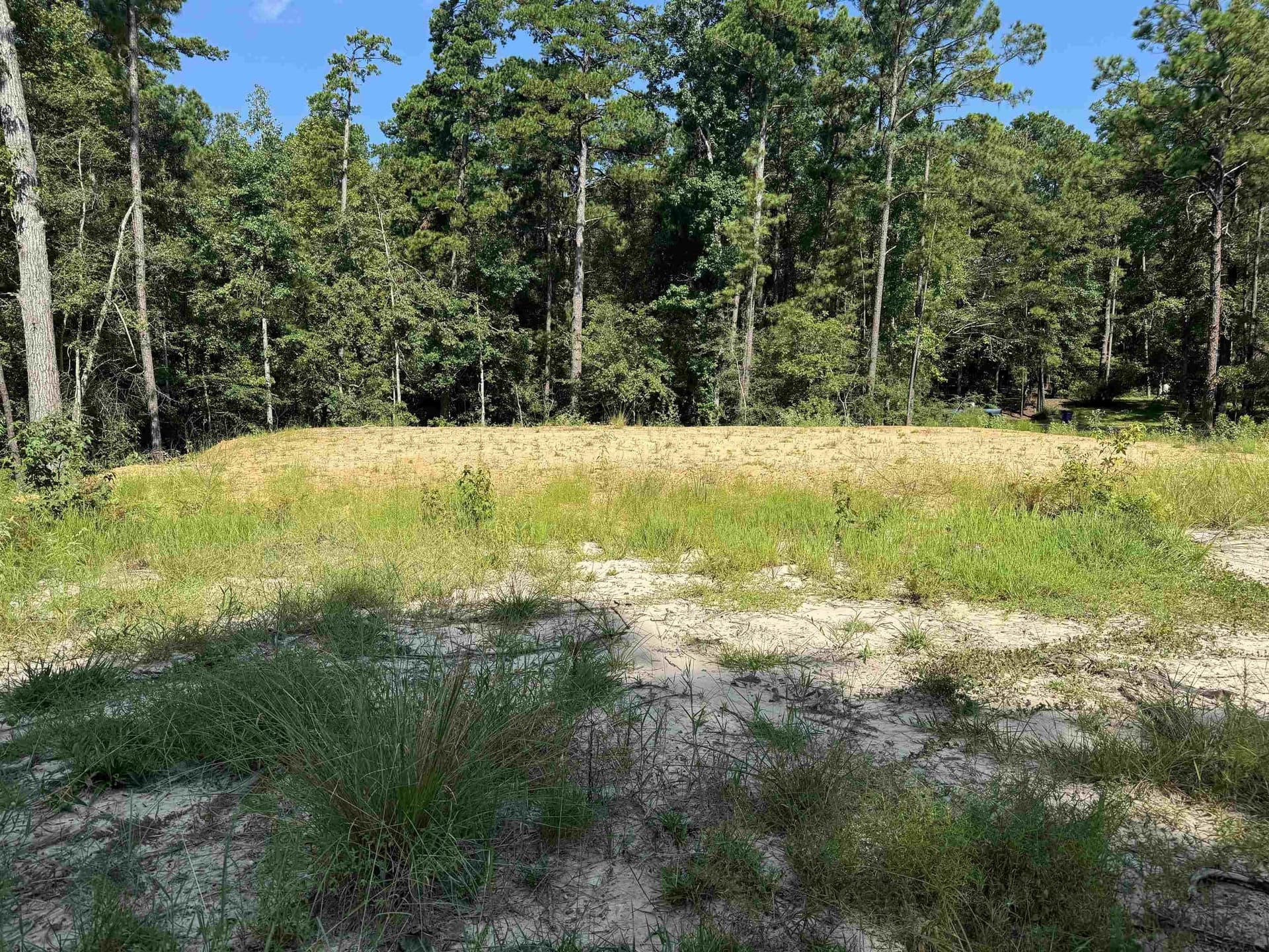 0.49 acres in Texas County gallery image 2