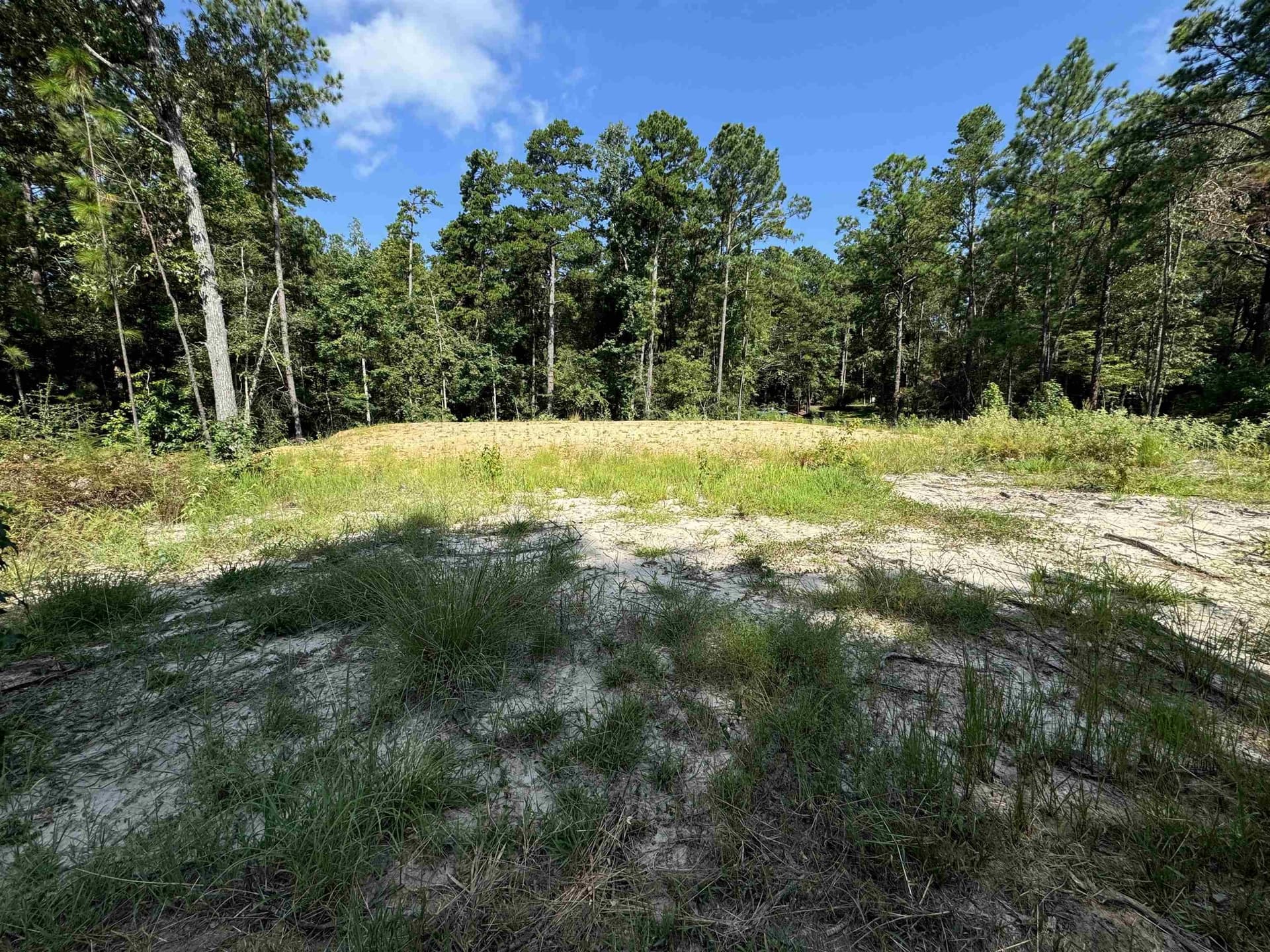 0.49 acres in Texas County gallery image 4