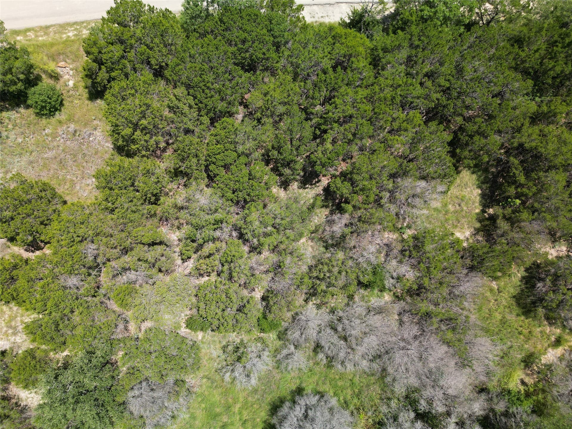0.12 acres in Hood County - photo 5