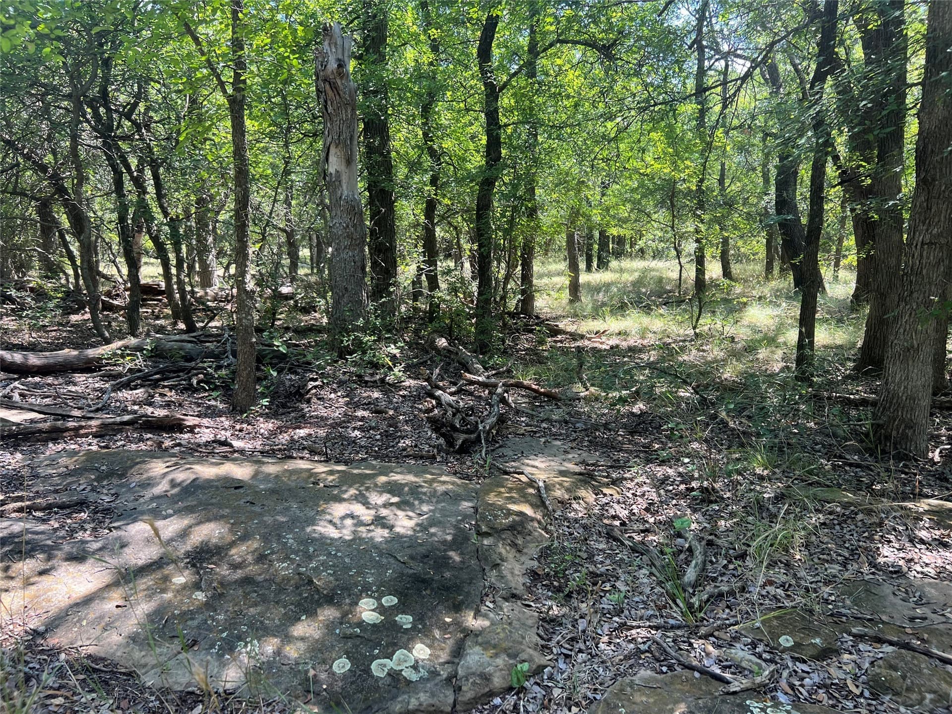 55 acres in Eastland County - photo 5