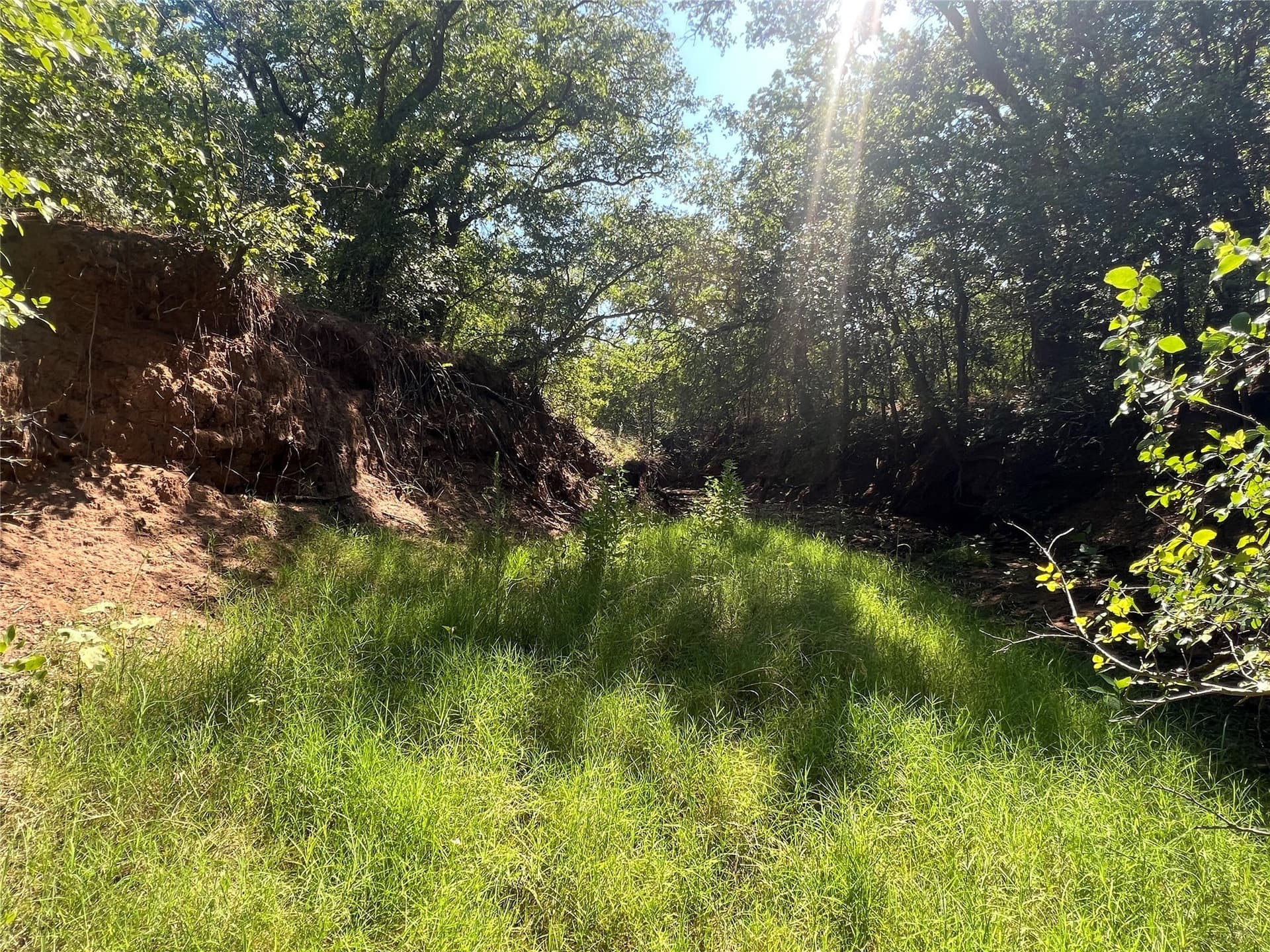 55 acres in Eastland County - photo 15