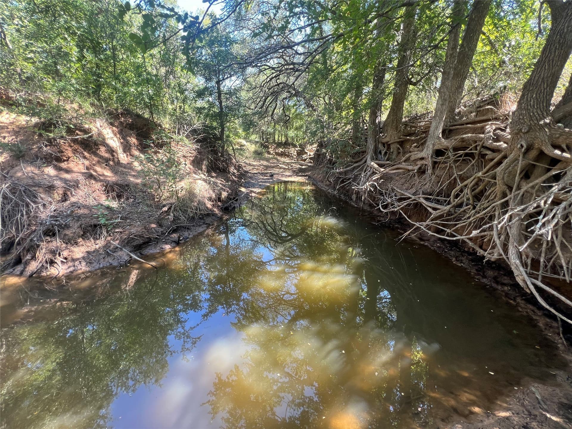 55 acres in Eastland County - photo 13
