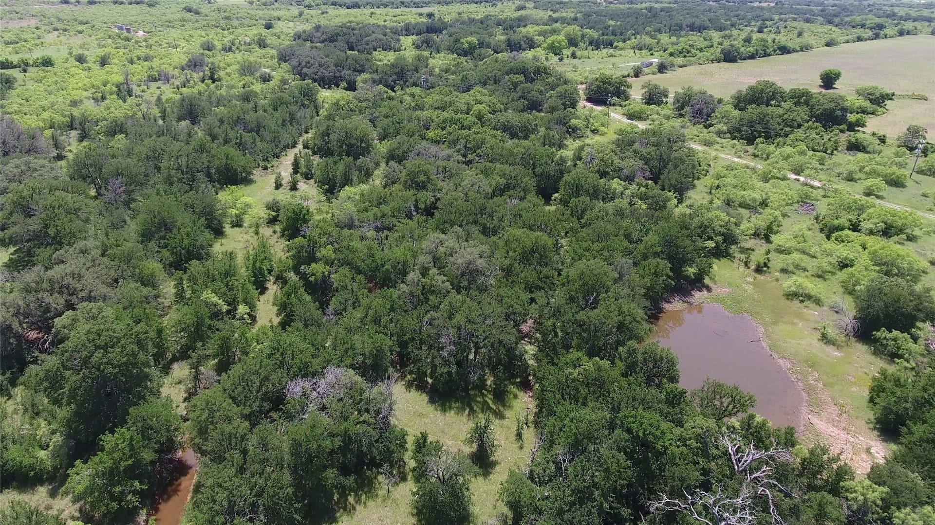 55 acres in Eastland County - photo 18