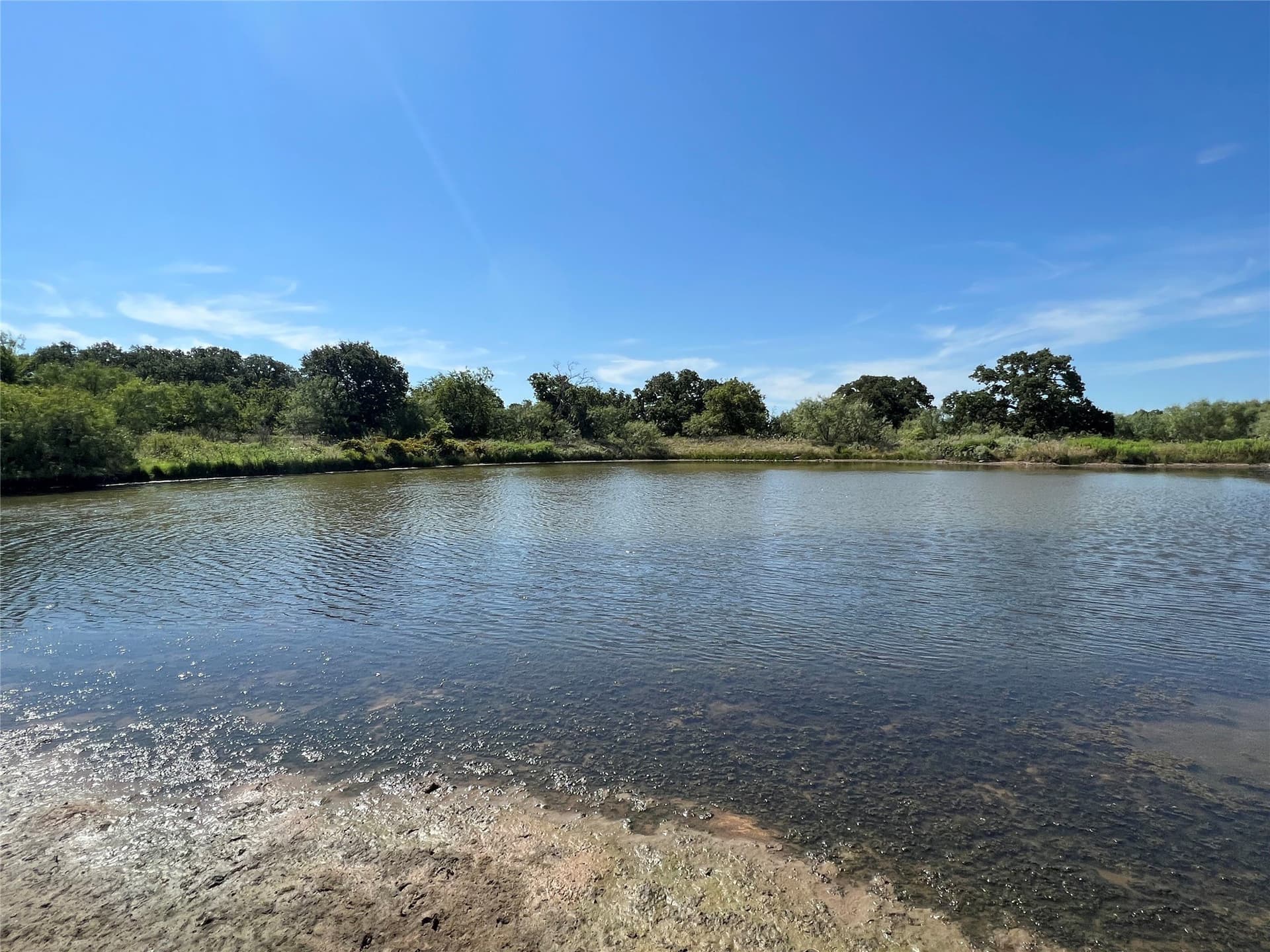 55 acres in Eastland County - photo 7