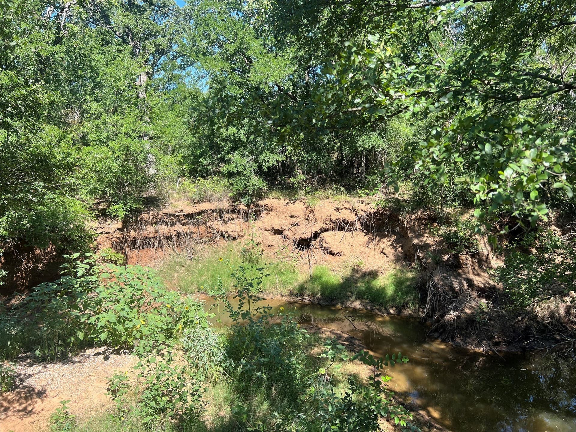 55 acres in Eastland County - photo 8
