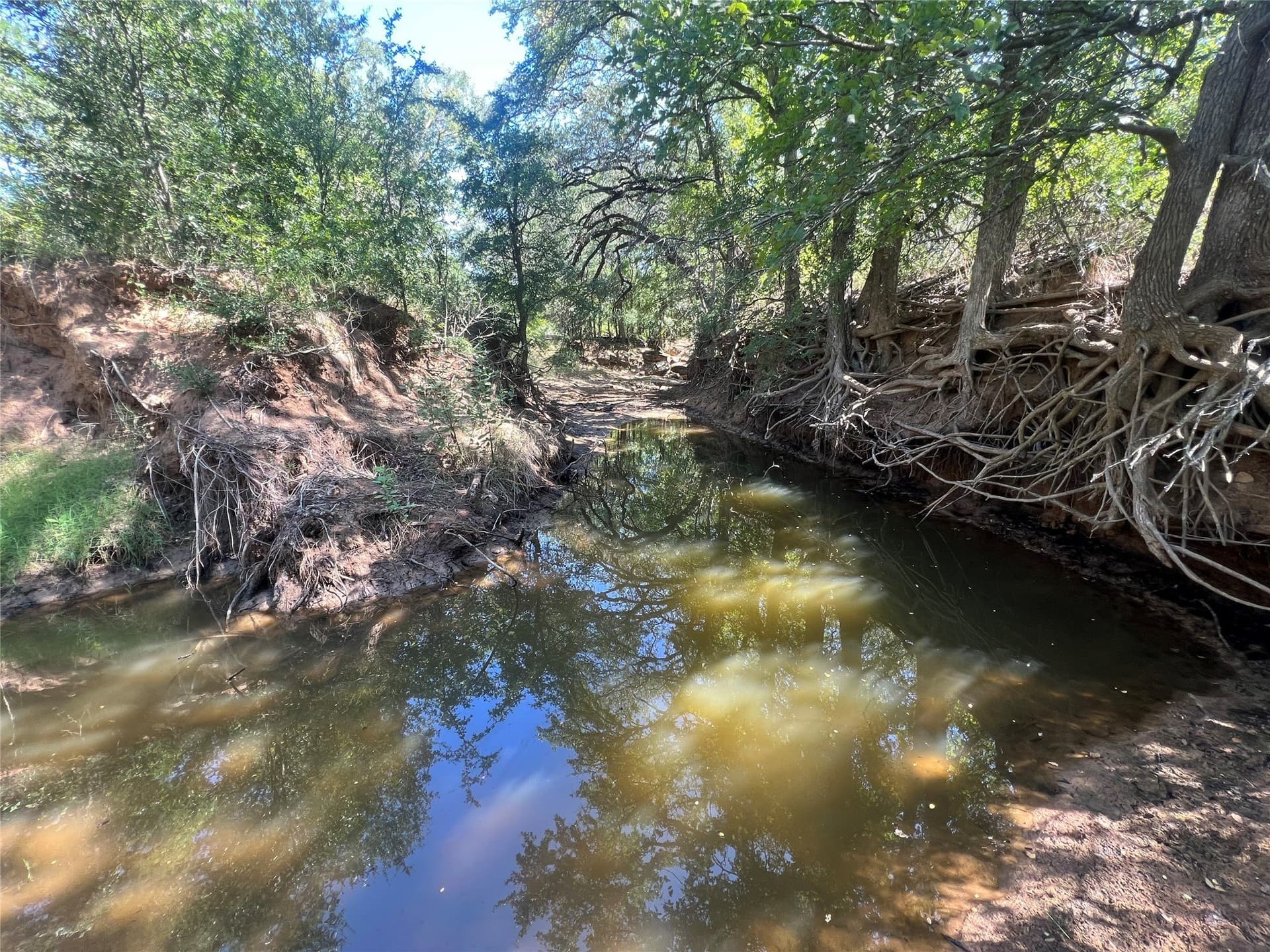 55 acres in Eastland County - photo 6