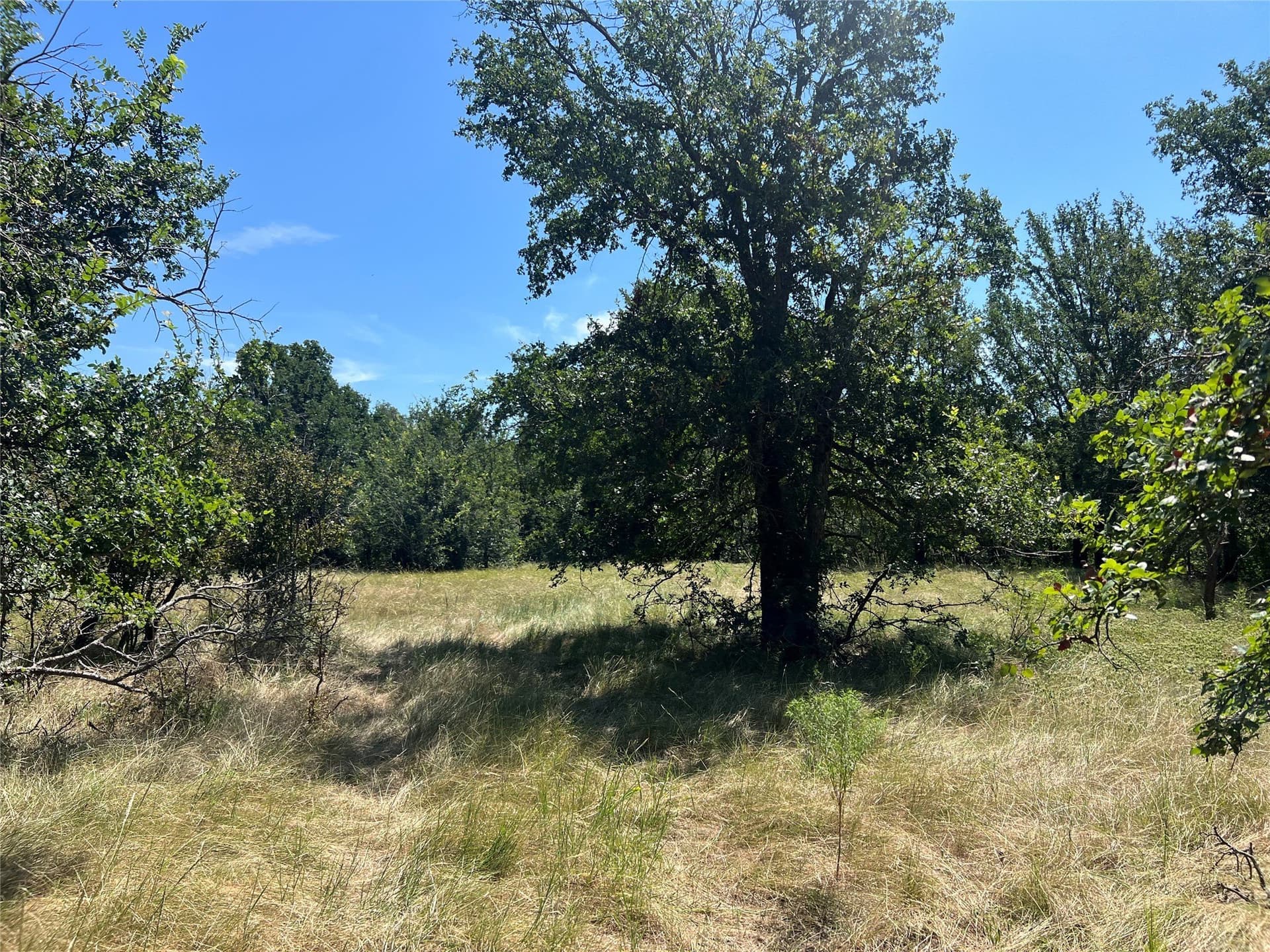 55 acres in Eastland County - photo 21