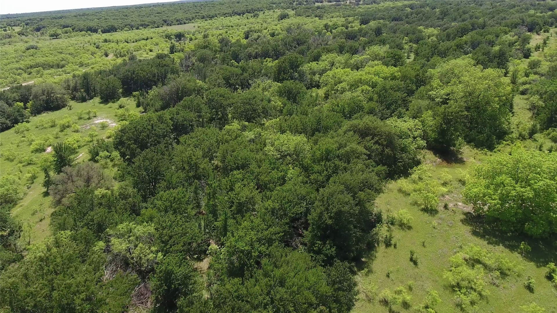 55 acres in Eastland County - photo 24