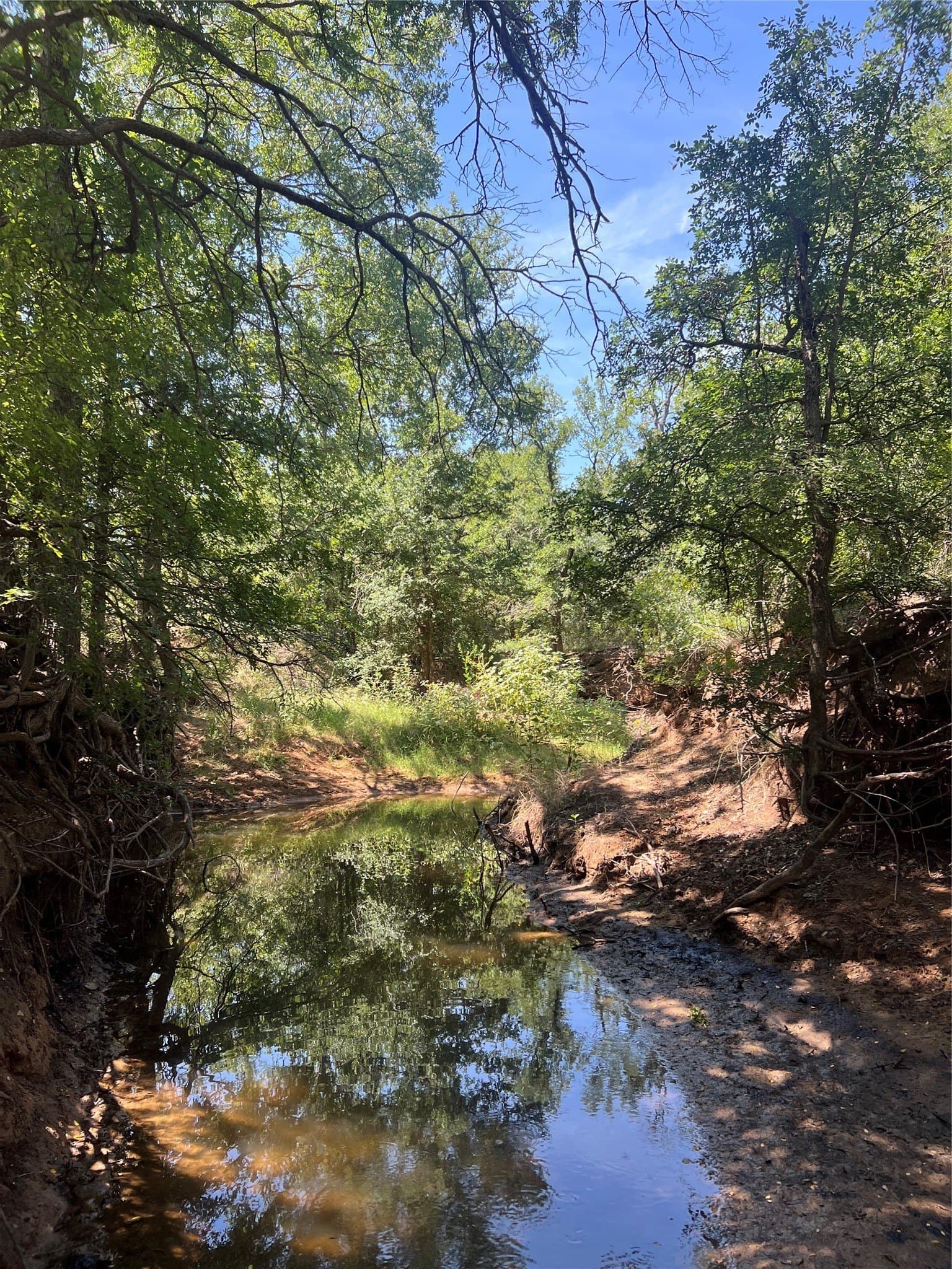 55 acres in Eastland County - photo 12