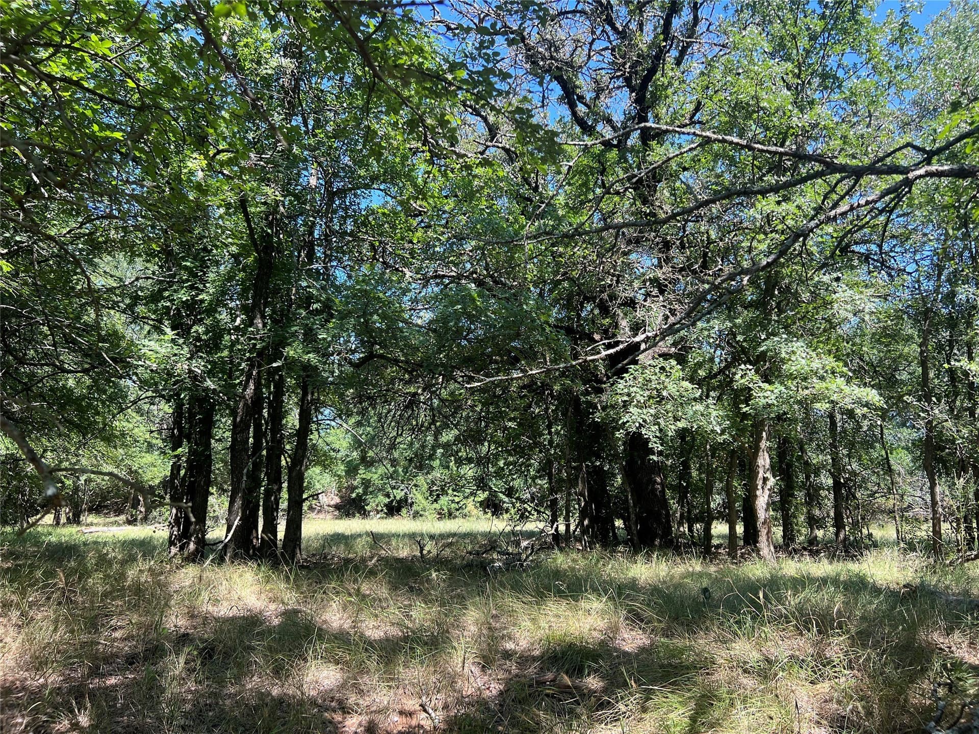 55 acres in Eastland County - photo 14