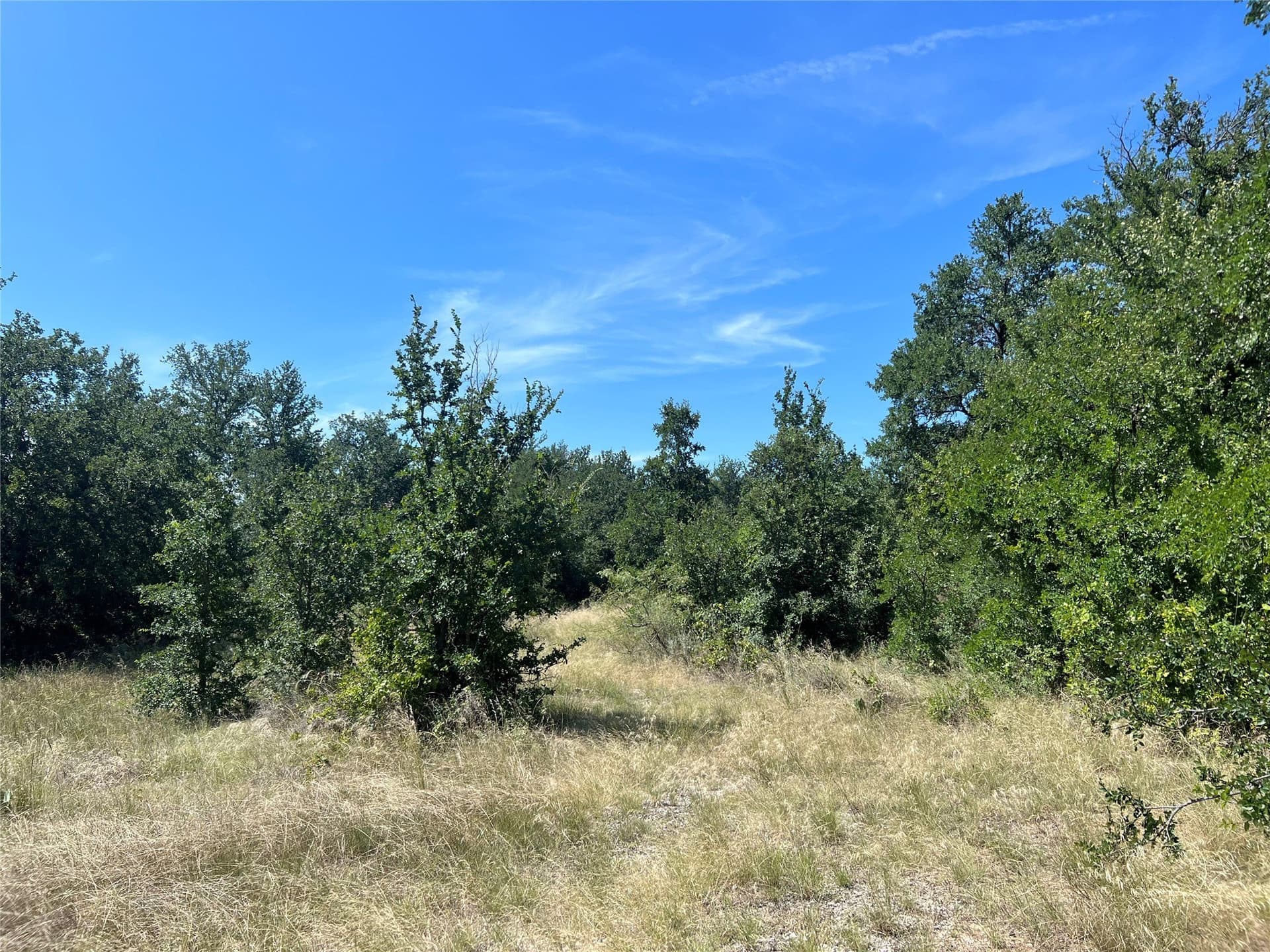 55 acres in Eastland County - photo 20