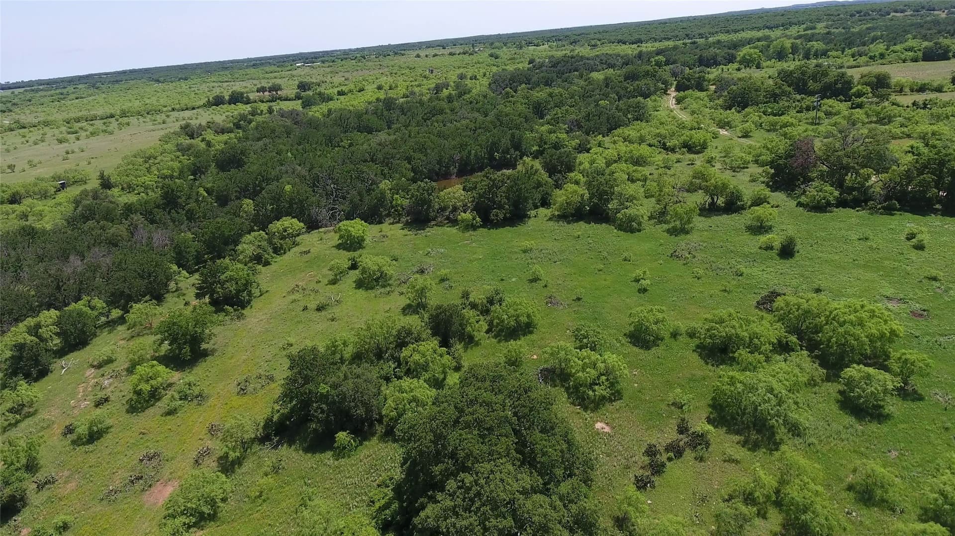 55 acres in Eastland County - photo 23