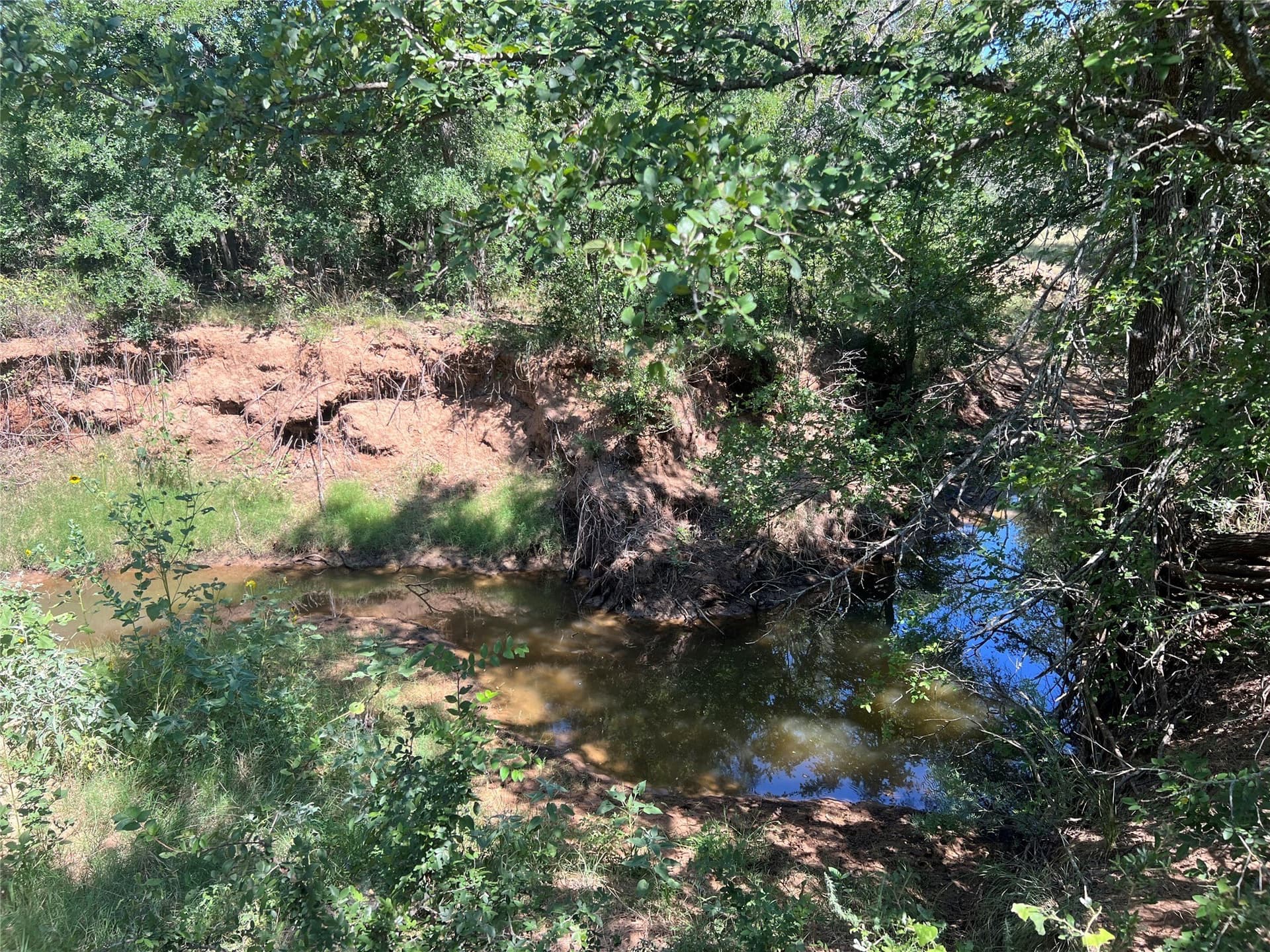 55 acres in Eastland County - photo 10