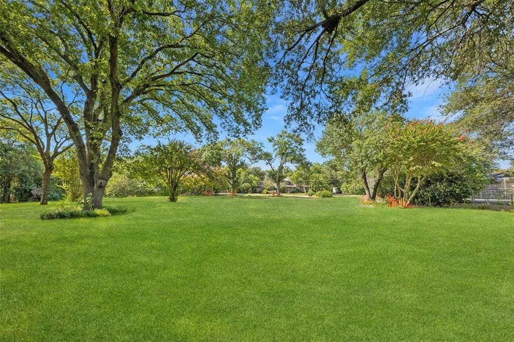 1.16 acres in Dallas County gallery image 4