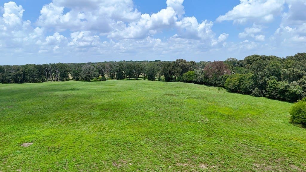 66.2 acres in Henderson County - photo 14
