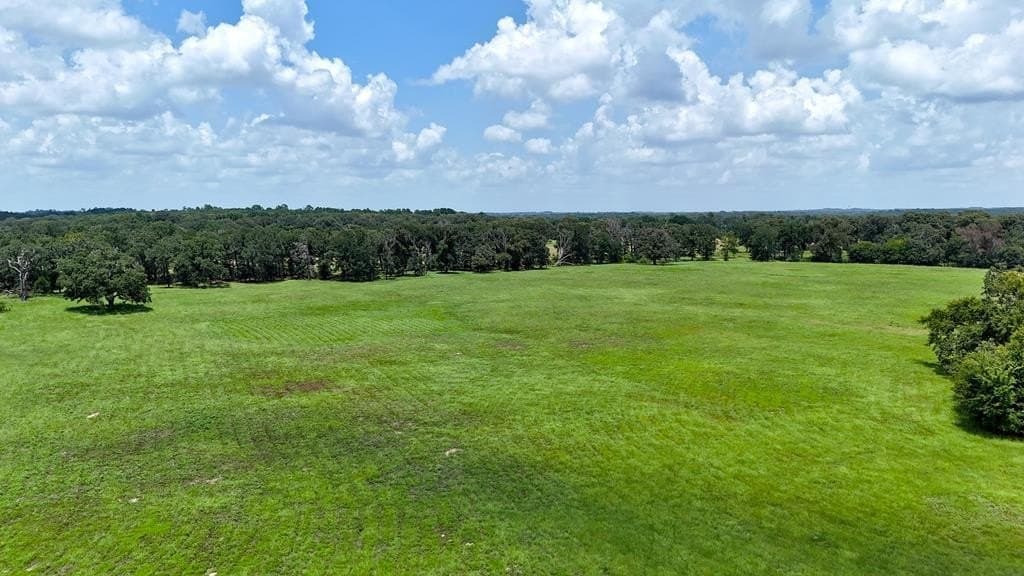 66.2 acres in Henderson County gallery image 2
