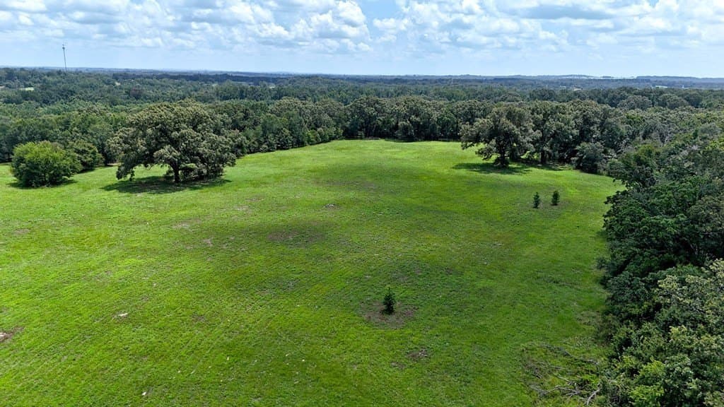 66.2 acres in Henderson County - photo 9