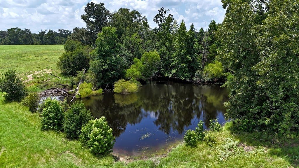 66.2 acres in Henderson County - photo 6