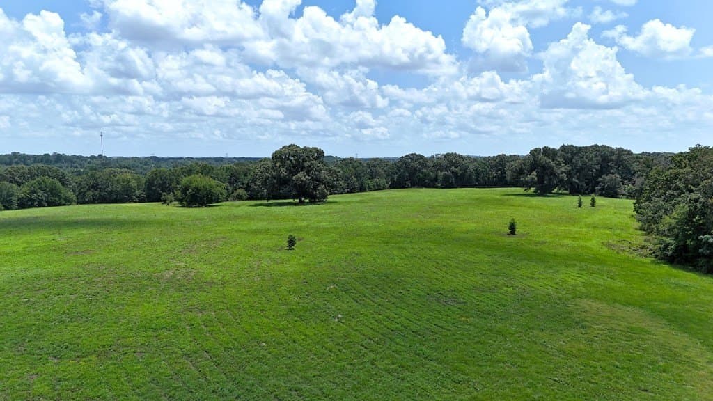 66.2 acres in Henderson County - photo 11