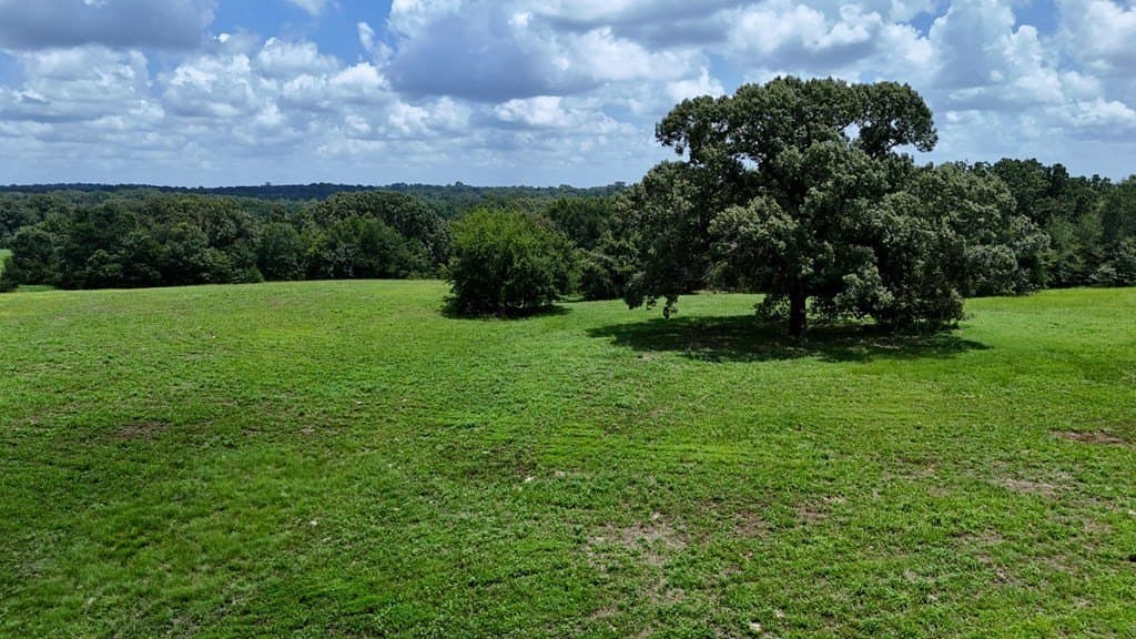 66.2 acres in Henderson County - photo 13