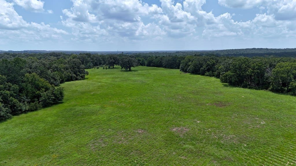 66.2 acres in Henderson County - photo 7