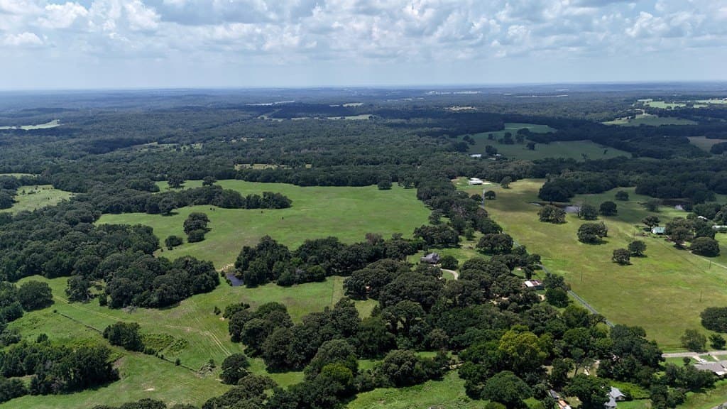 66.2 acres in Henderson County gallery image 4