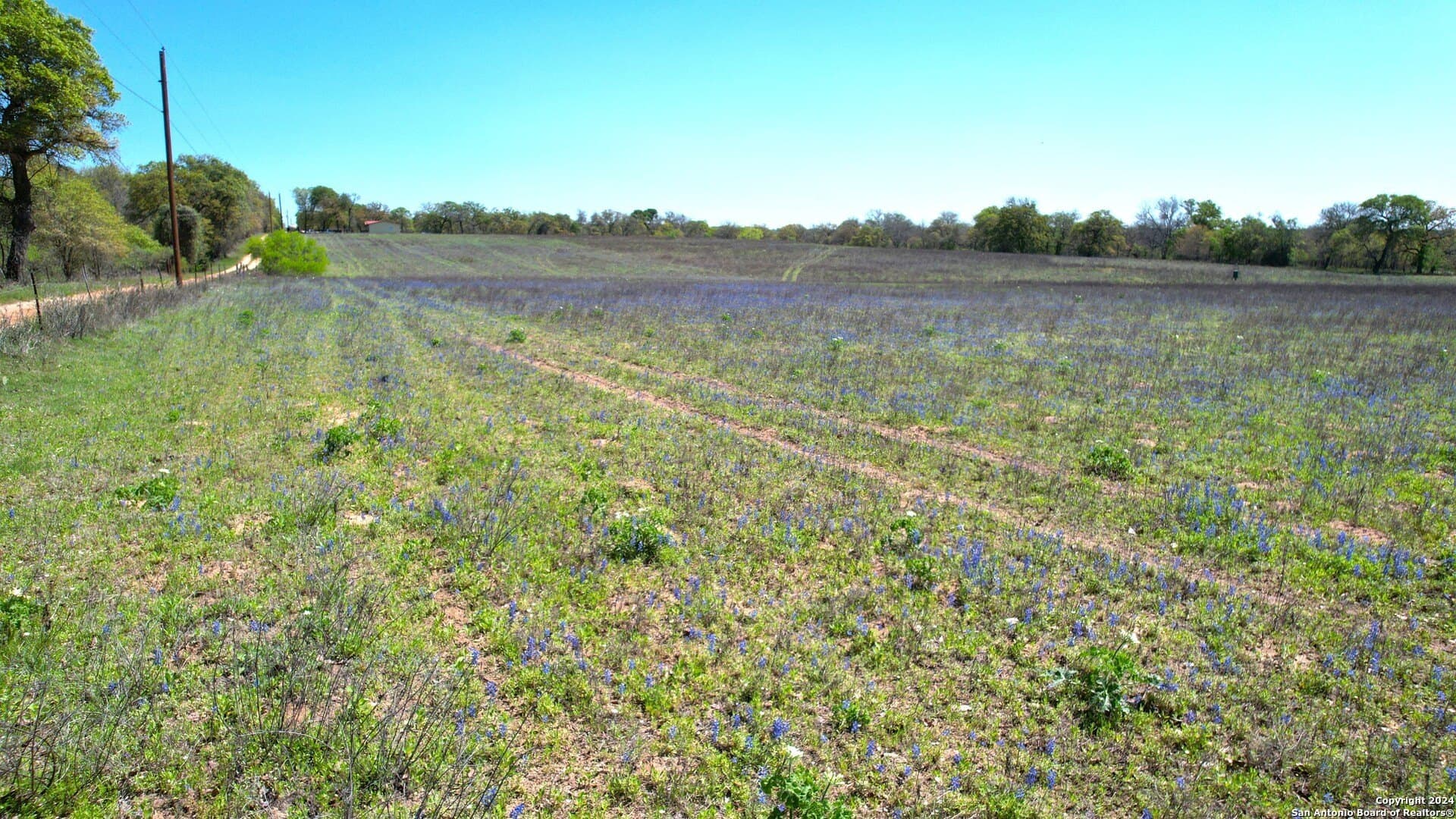 12 acres in Wilson County - photo 9