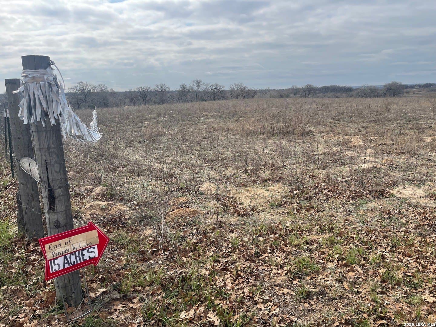 12 acres in Wilson County - photo 13