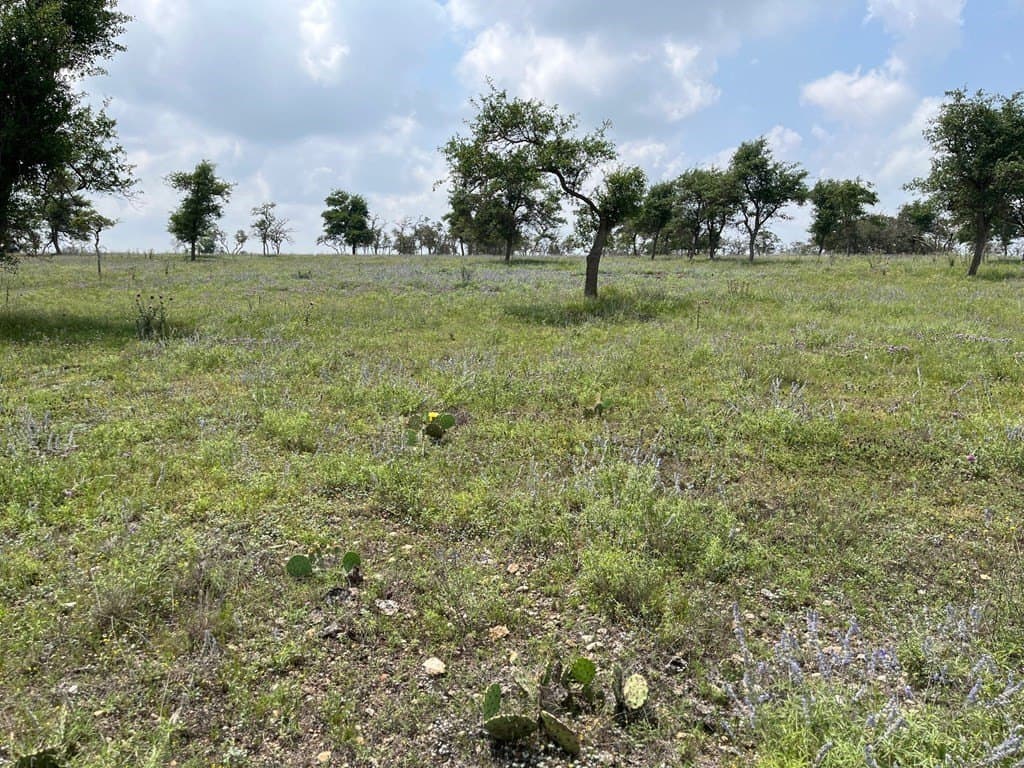 10.1 acres in Gillespie County gallery image 4