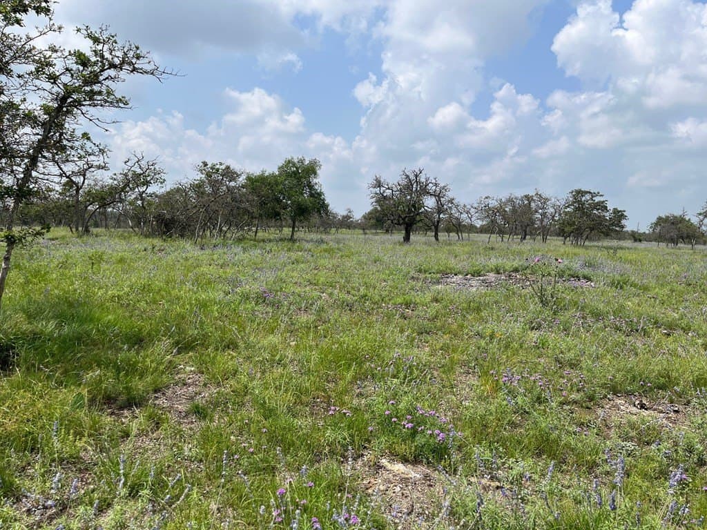 10.1 acres in Gillespie County gallery image 2