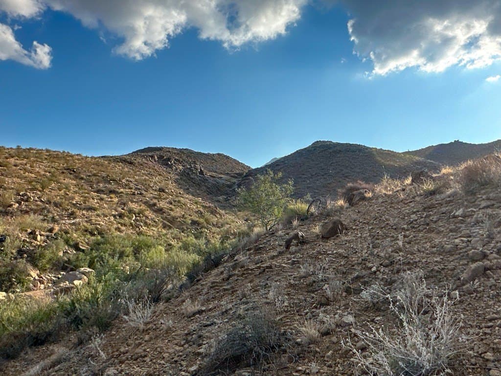 639.14 acres in Brewster County gallery image 2