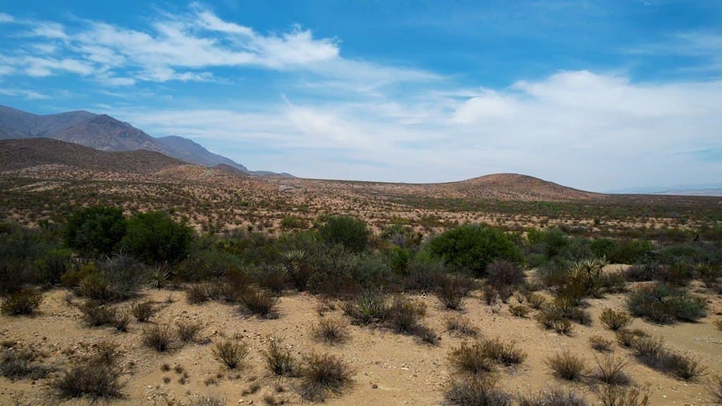 639.14 acres in Brewster County gallery image 4