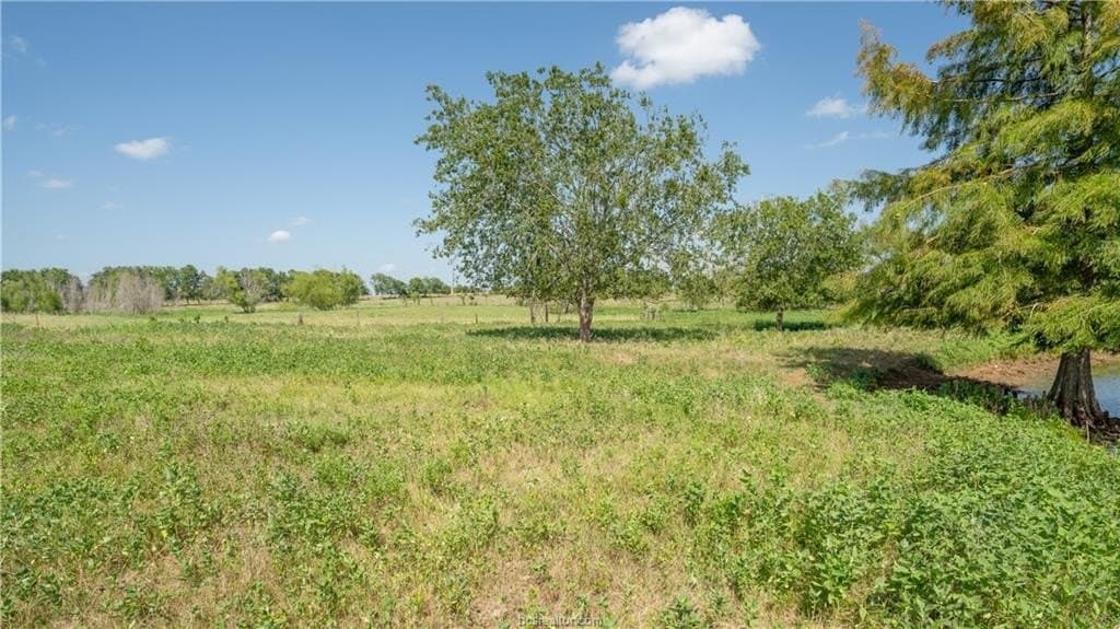 16 acres in Burleson County gallery image 3