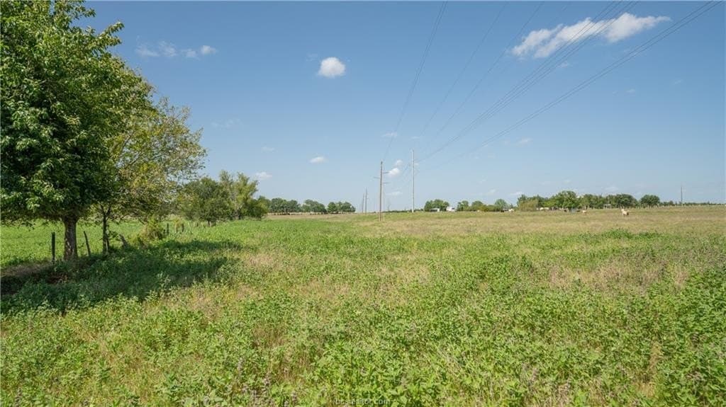 16 acres in Burleson County featured view