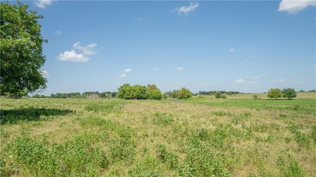 16 acres in Burleson County gallery image 4
