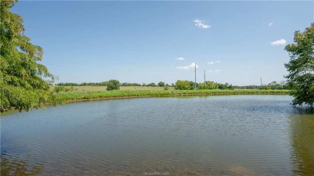 16 acres in Burleson County gallery image 2