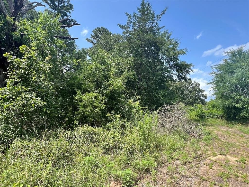 16.4 acres in Titus County gallery image 3