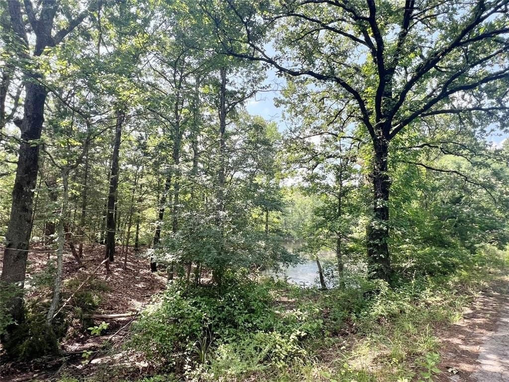 16.4 acres in Titus County