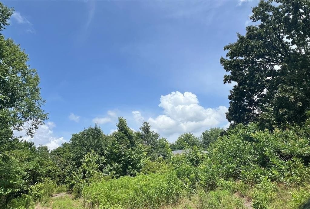 16.4 acres in Titus County gallery image 4