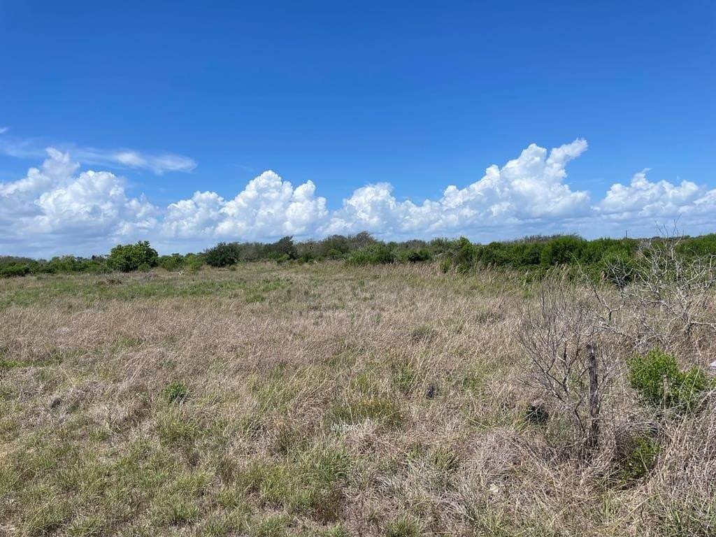 10.51 acres in Texas County - photo 22