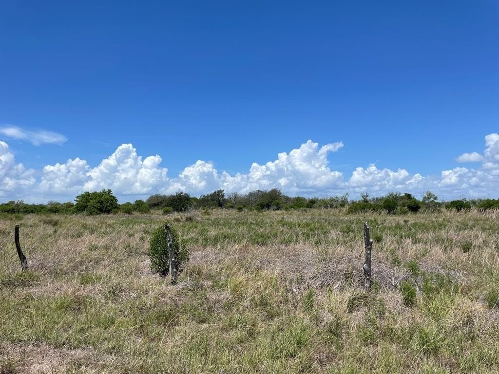 10.51 acres in Texas County - photo 23