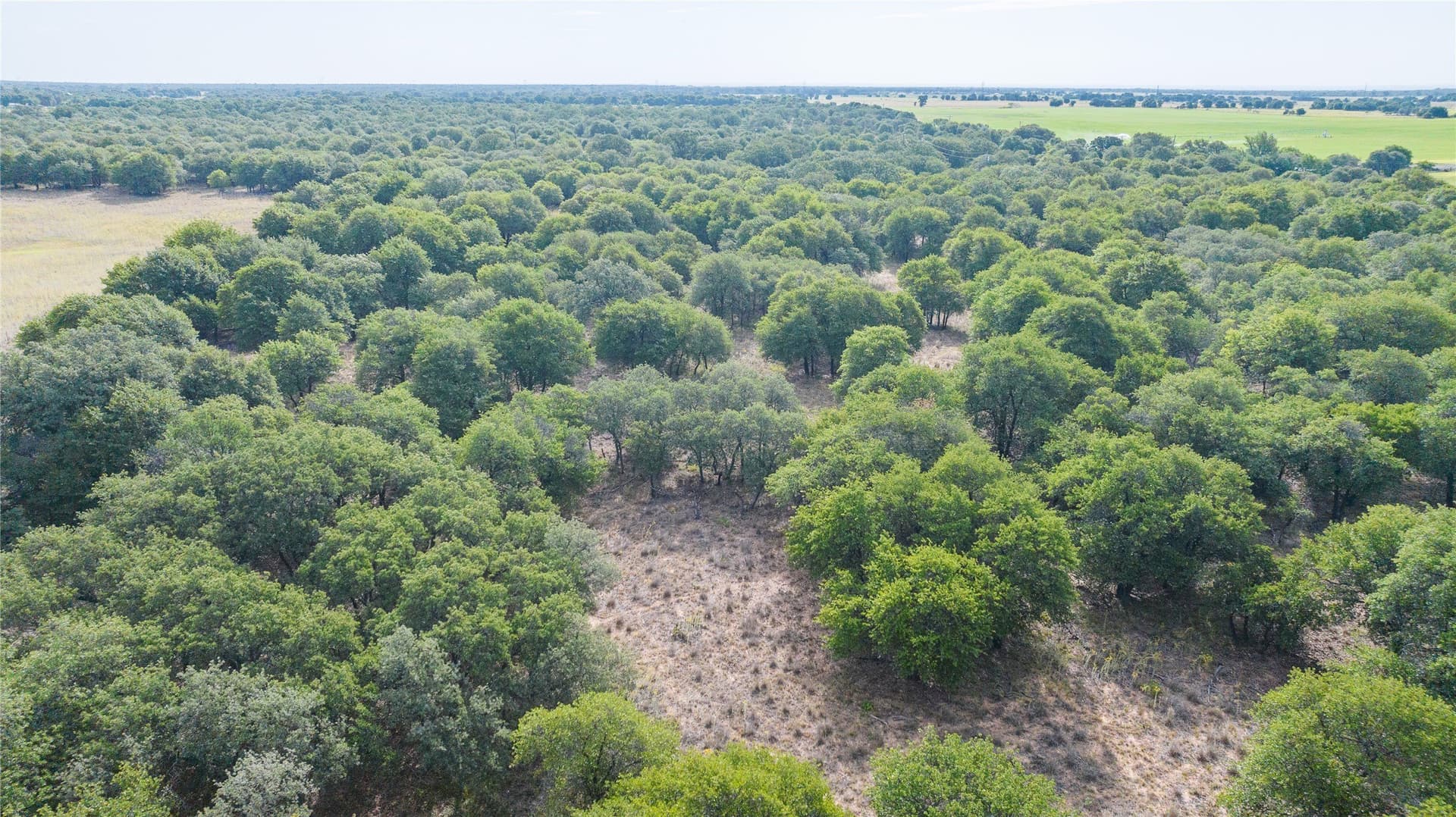 15 acres in Jones County - photo 15