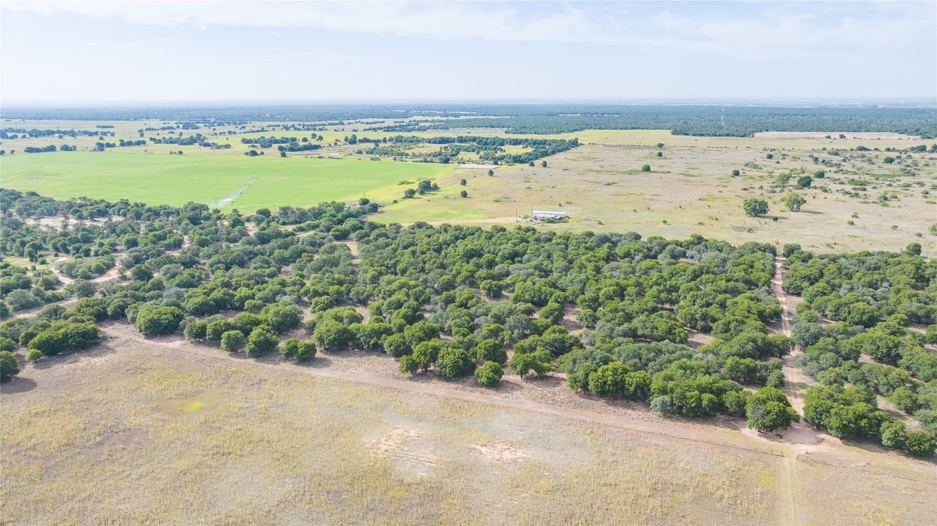 15 acres in Jones County - photo 4