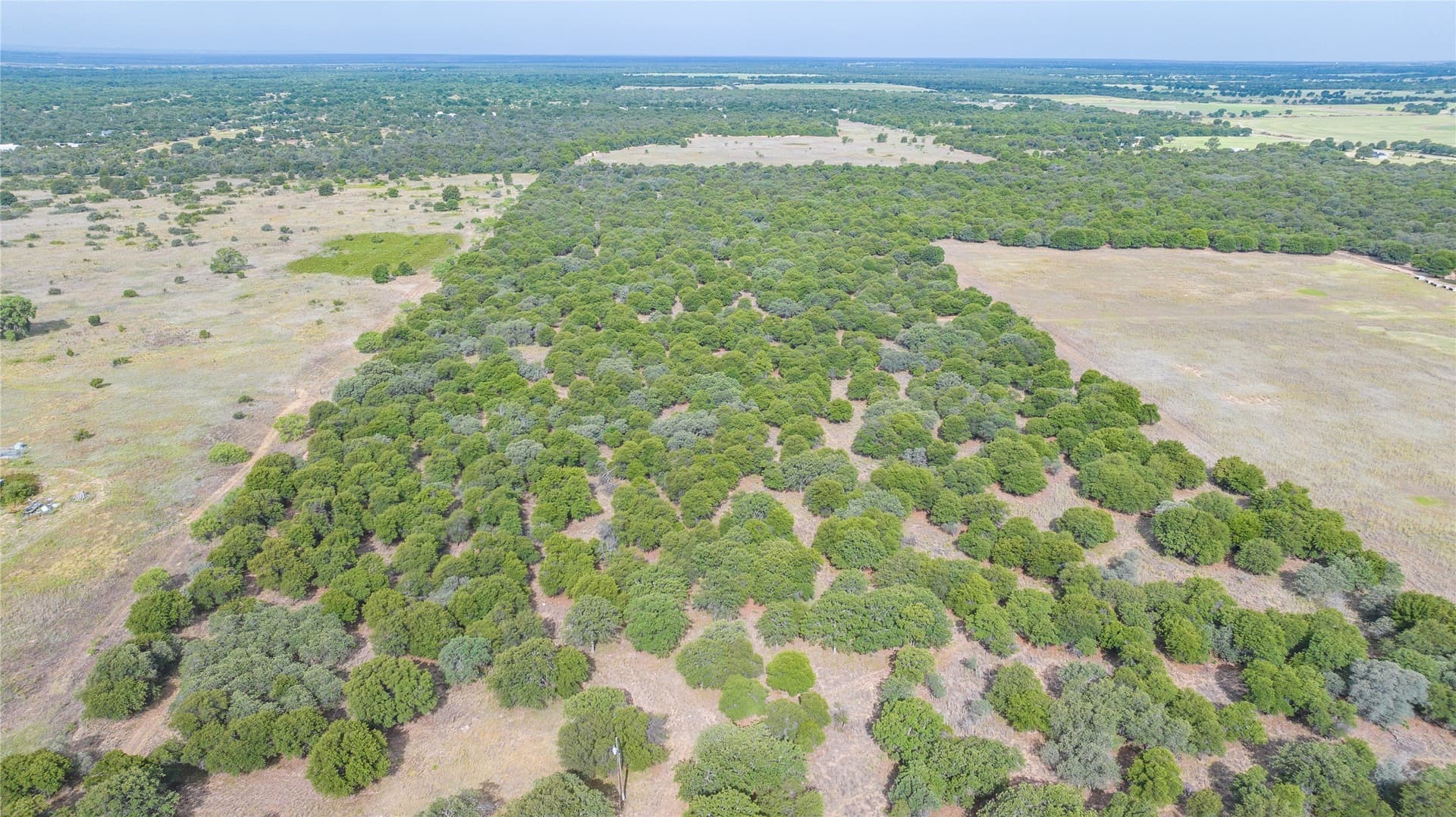 15 acres in Jones County - photo 10