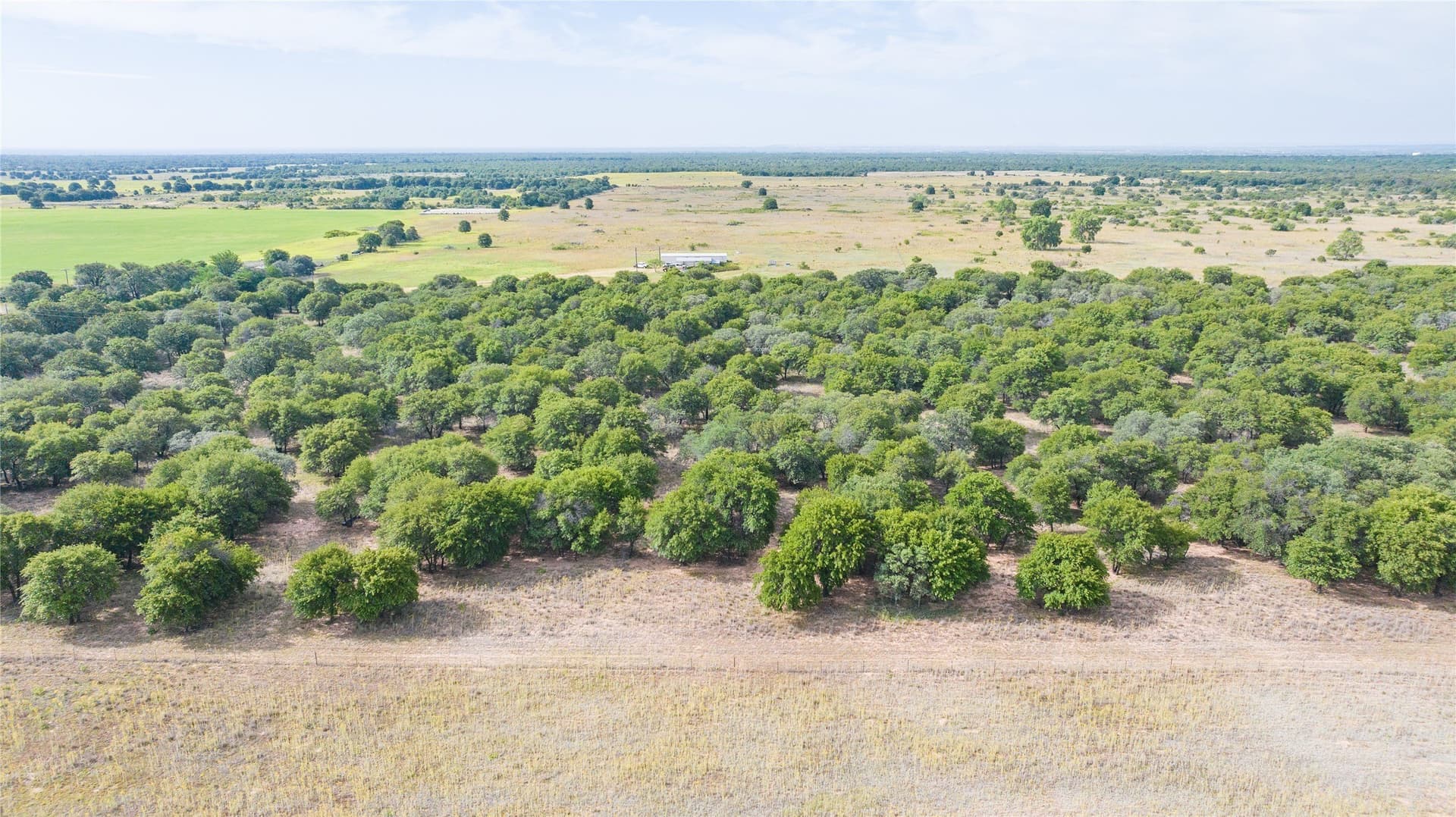 15 acres in Jones County - photo 12