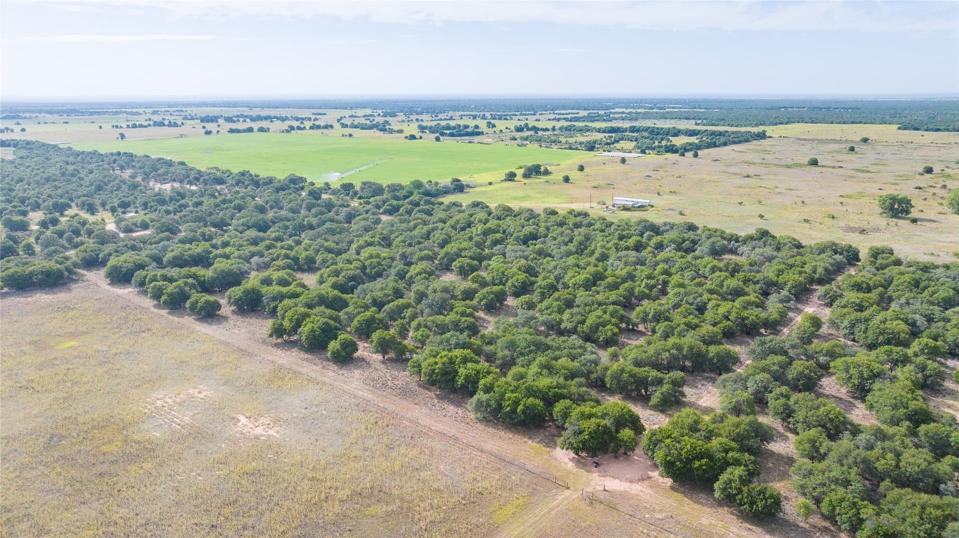 15 acres in Jones County - photo 5