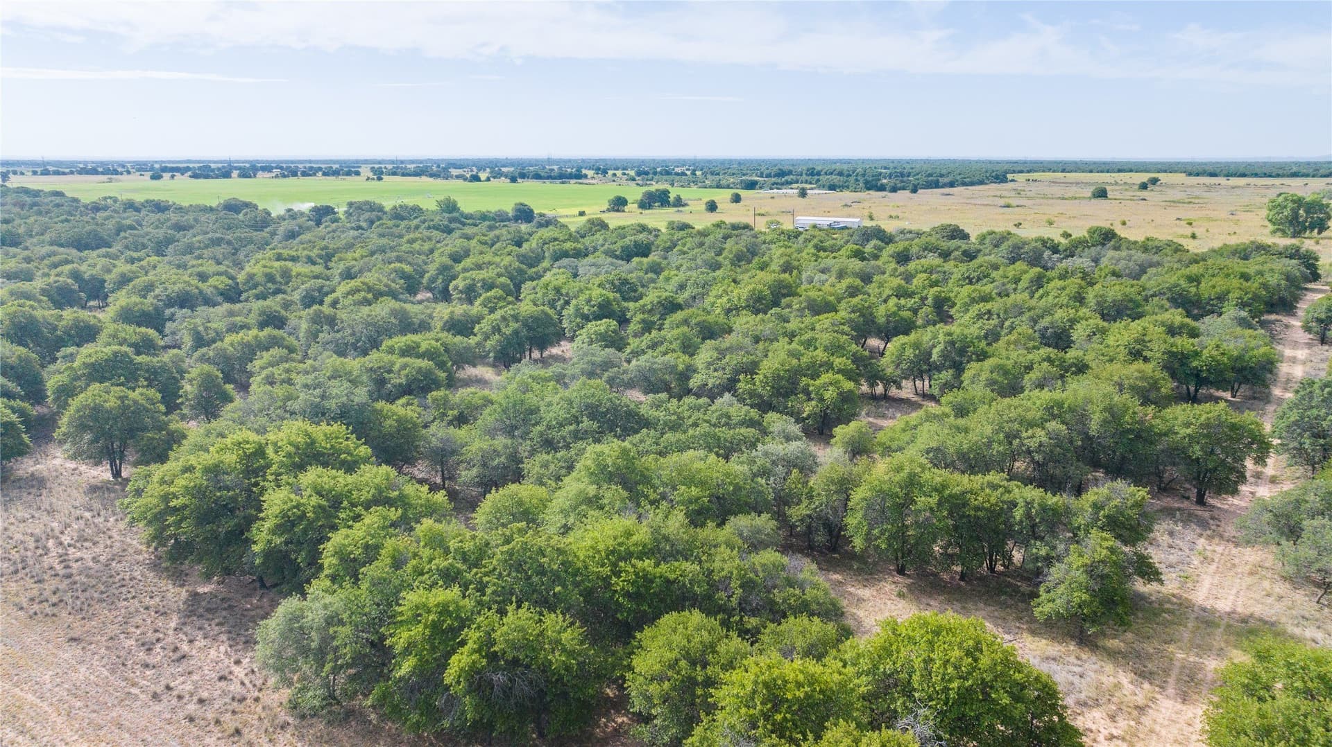 15 acres in Jones County - photo 14