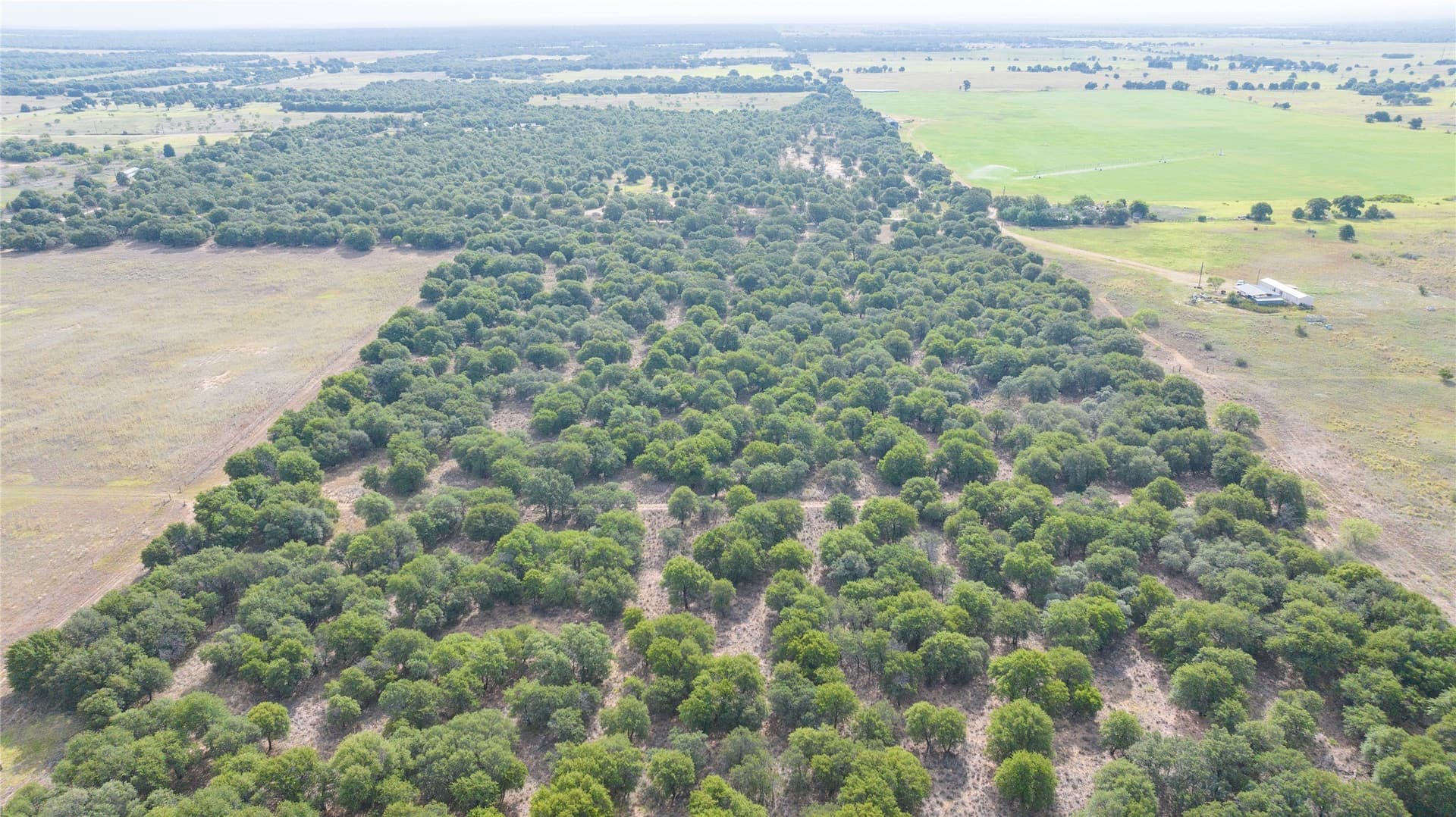 15 acres in Jones County - photo 6