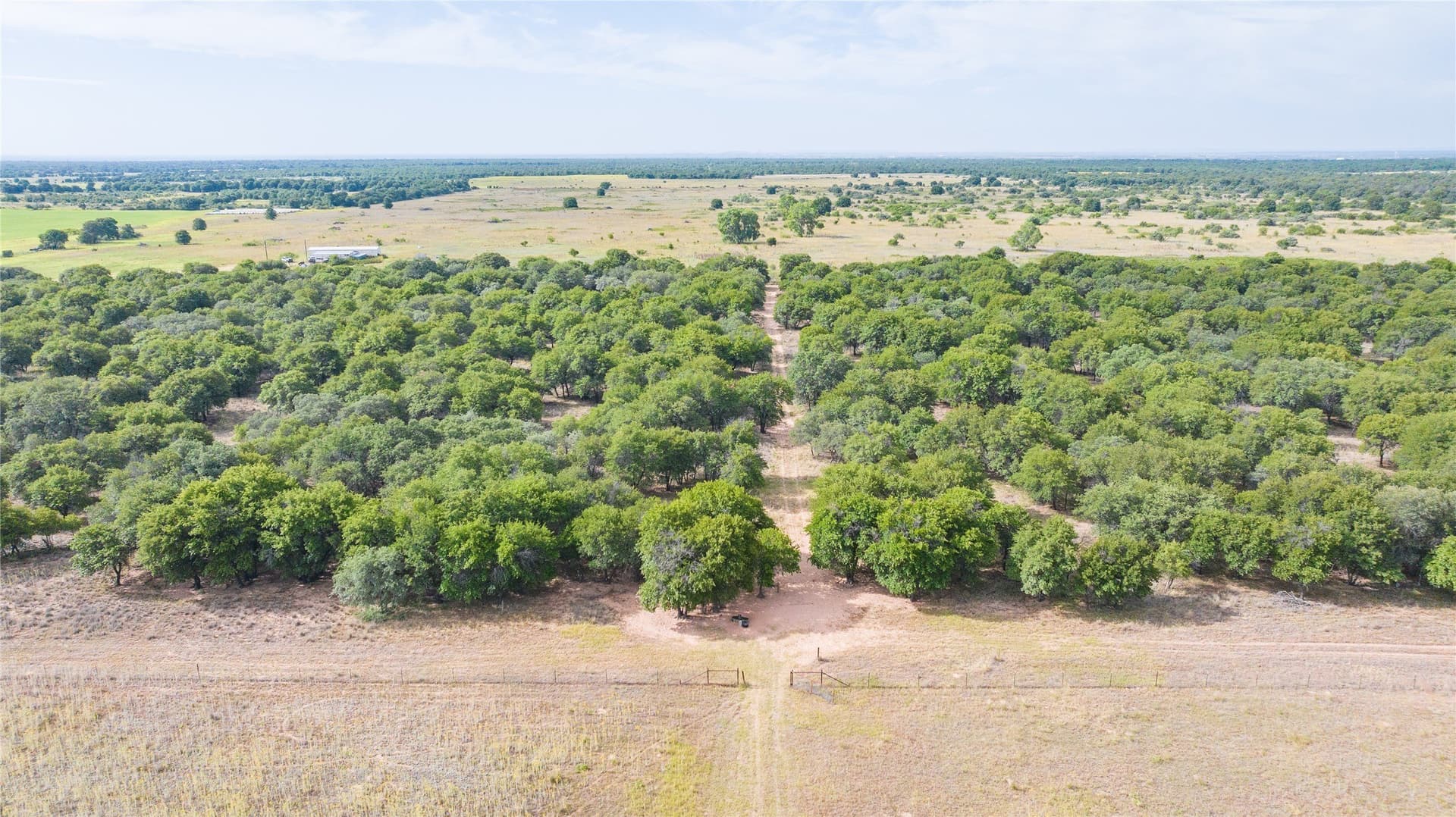 15 acres in Jones County - photo 13