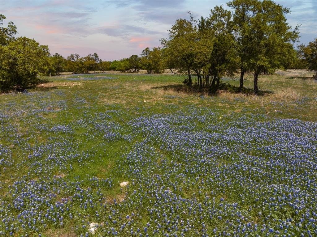 53.32 acres in Bosque County gallery image 2